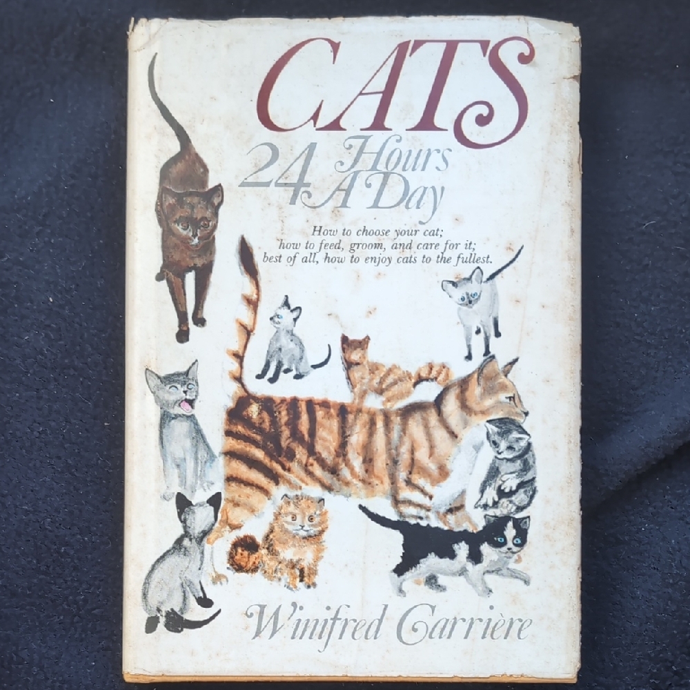 Cats 24 Hours a Day vintage book By Winifred Carriere
